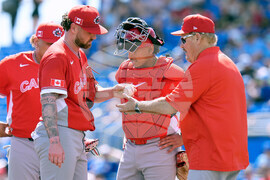 Canada Blue Jays Baseball