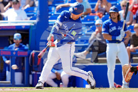 Canada Blue Jays Baseball