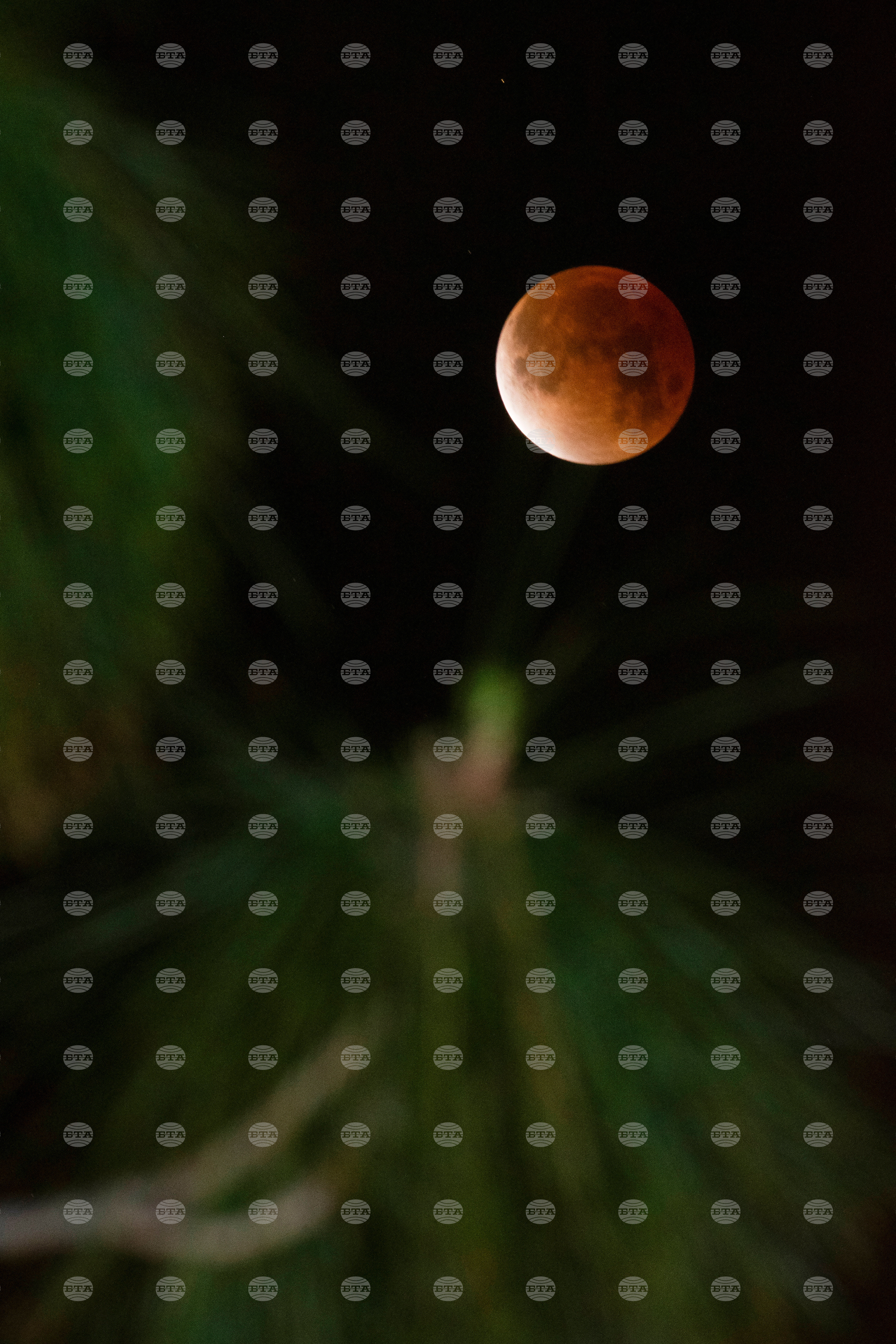 Blood Moon Eclipse
