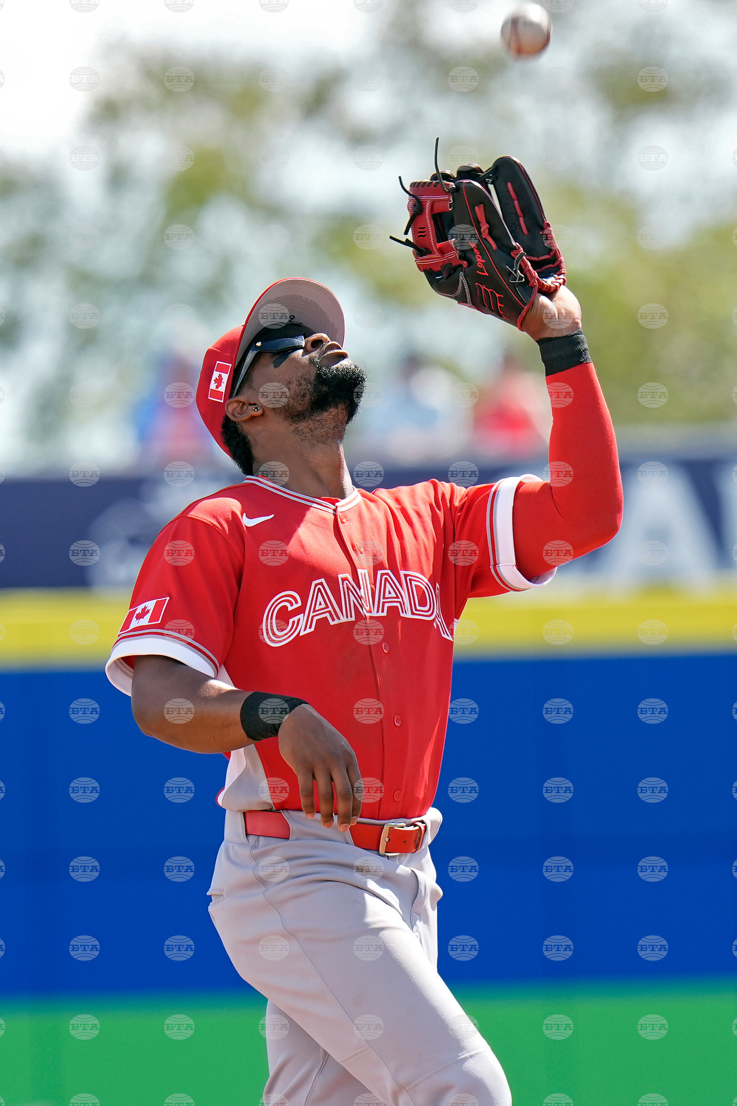 Canada Blue Jays Baseball