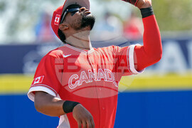Canada Blue Jays Baseball
