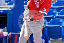 Canada Blue Jays Baseball
