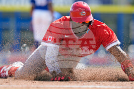 Canada Blue Jays Baseball