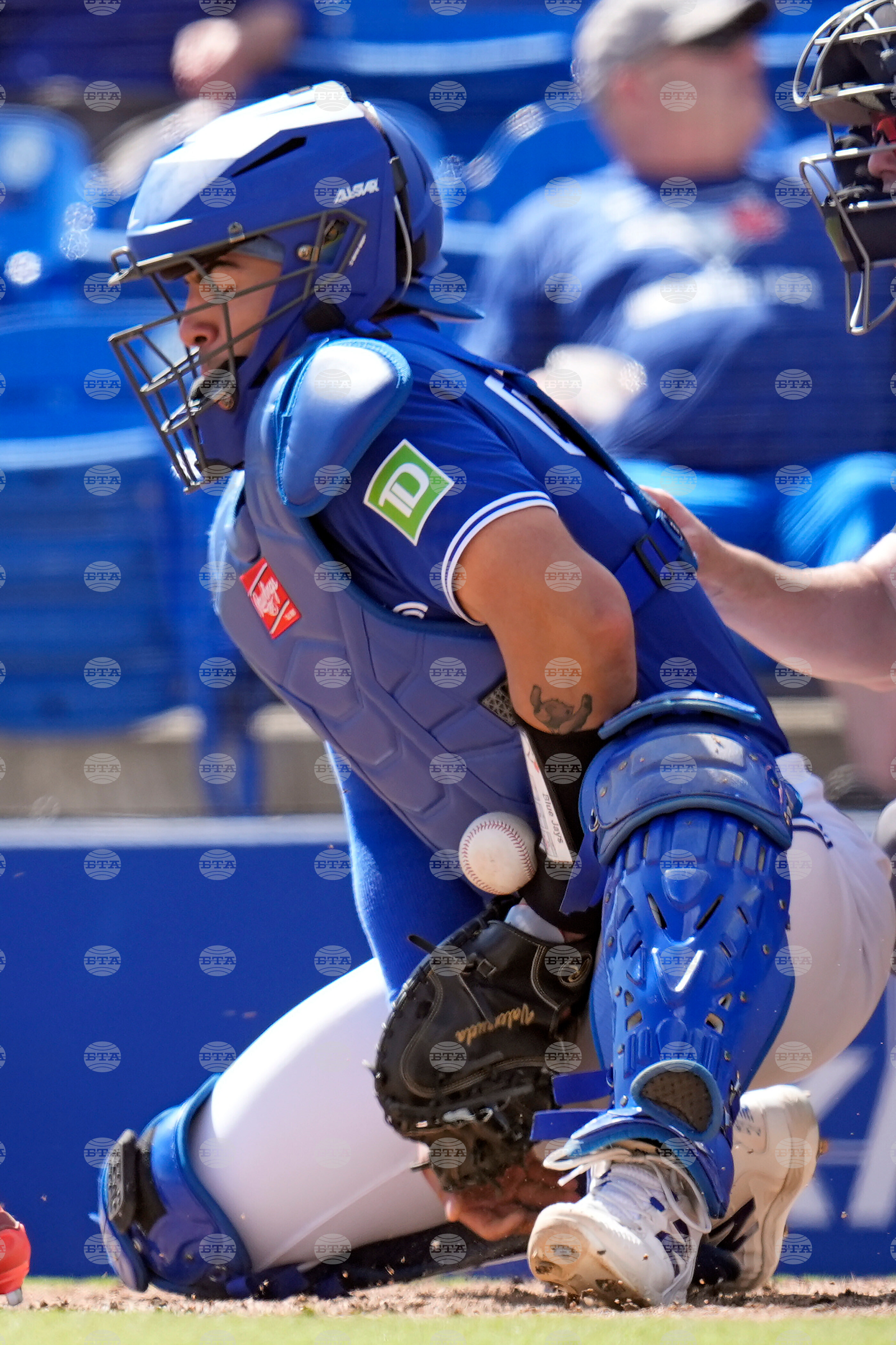 Canada Blue Jays Baseball