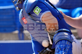 Canada Blue Jays Baseball