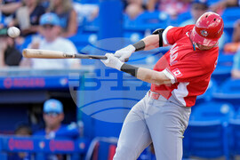 Canada Blue Jays Baseball