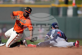 United States Giants Baseball