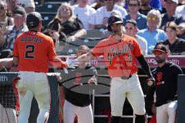 United States Giants Baseball