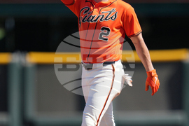 United States Giants Baseball