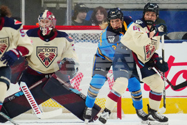 PWHL Victoire Sceptres Hockey