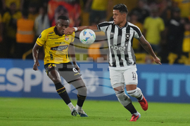 Ecuador Brazil Copa Libertadores Soccer