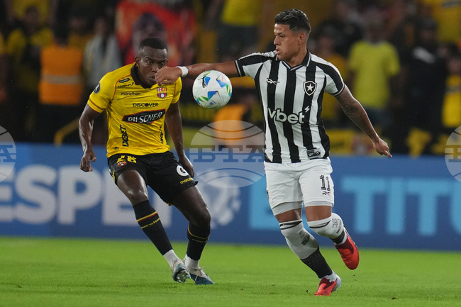 Ecuador Brazil Copa Libertadores Soccer