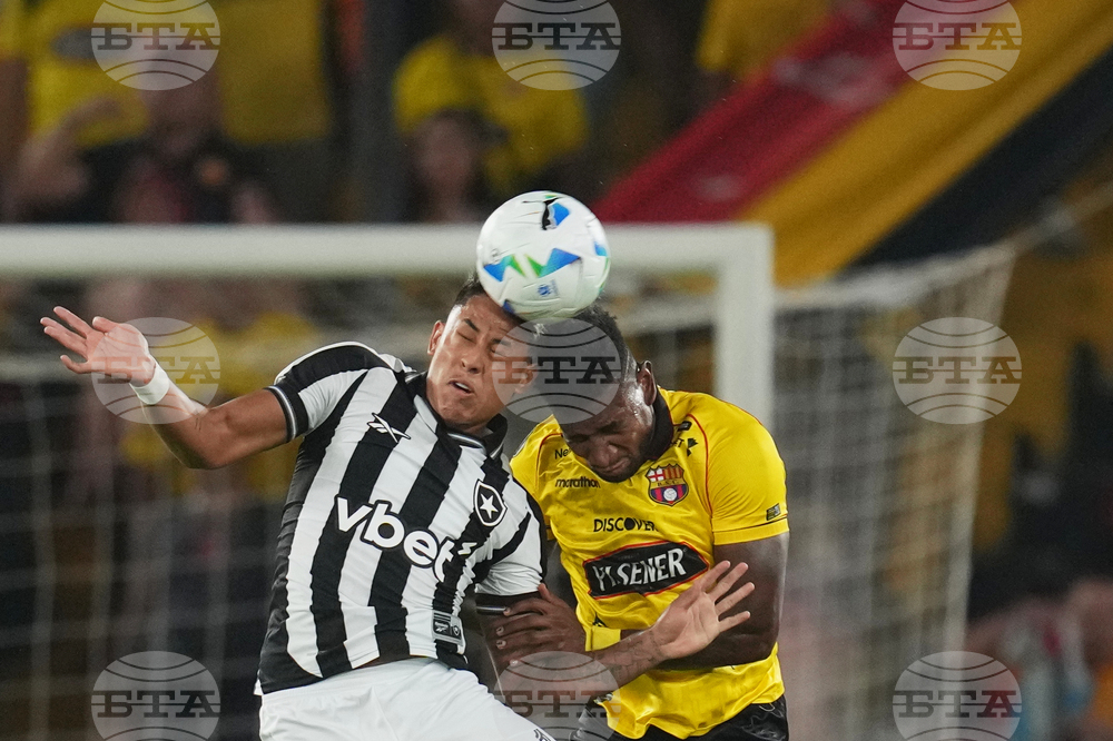 Ecuador Brazil Copa Libertadores Soccer