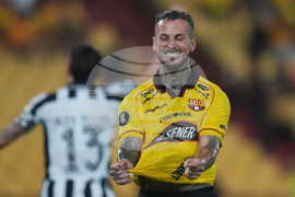 Ecuador Brazil Copa Libertadores Soccer