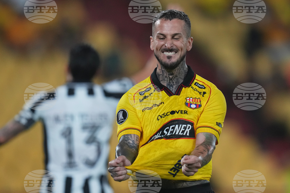 Ecuador Brazil Copa Libertadores Soccer