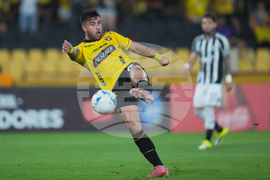 Ecuador Brazil Copa Libertadores Soccer