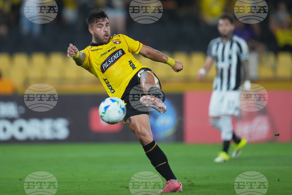 Ecuador Brazil Copa Libertadores Soccer