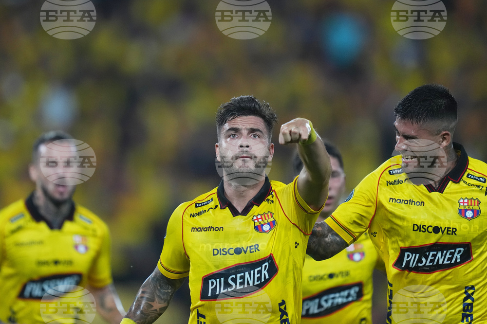 Ecuador Brazil Copa Libertadores Soccer