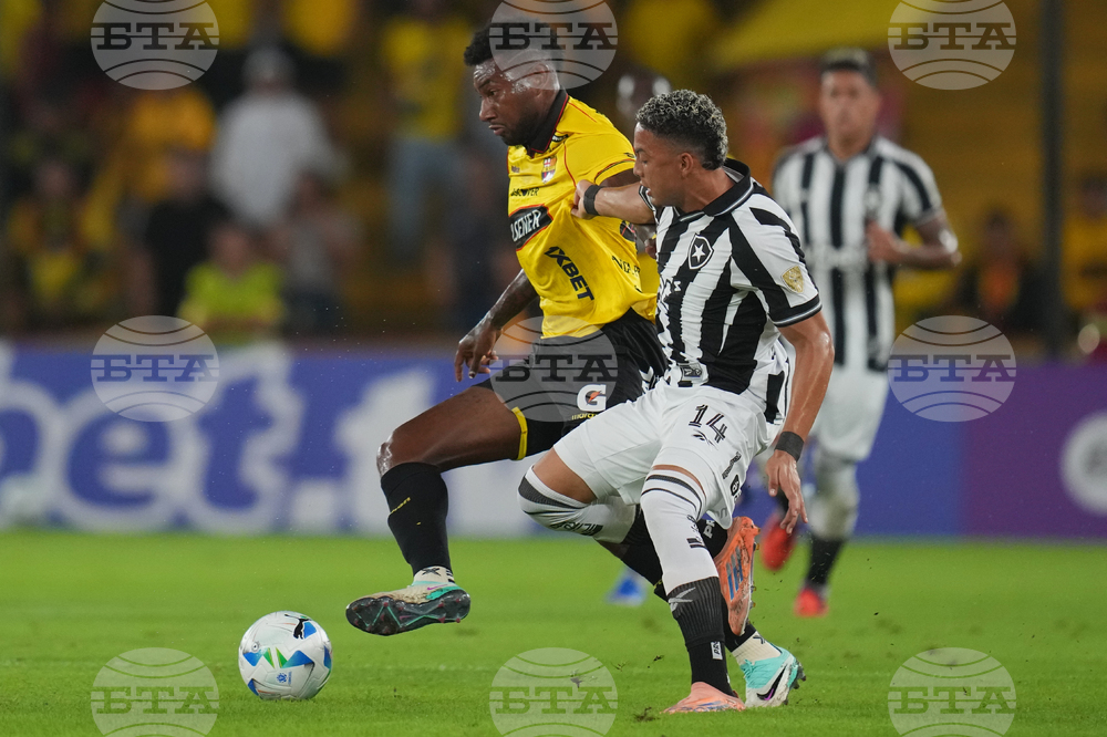 Ecuador Brazil Copa Libertadores Soccer
