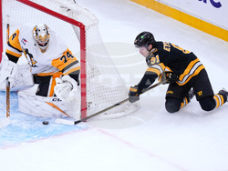 Penguins Bruins Hockey