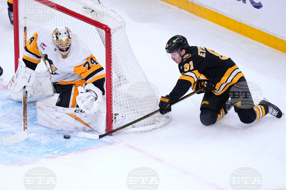 Penguins Bruins Hockey