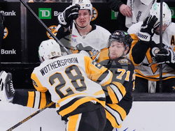 Penguins Bruins Hockey