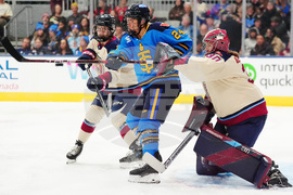 PWHL Victoire Sceptres Hockey