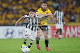 Ecuador Brazil Copa Libertadores Soccer