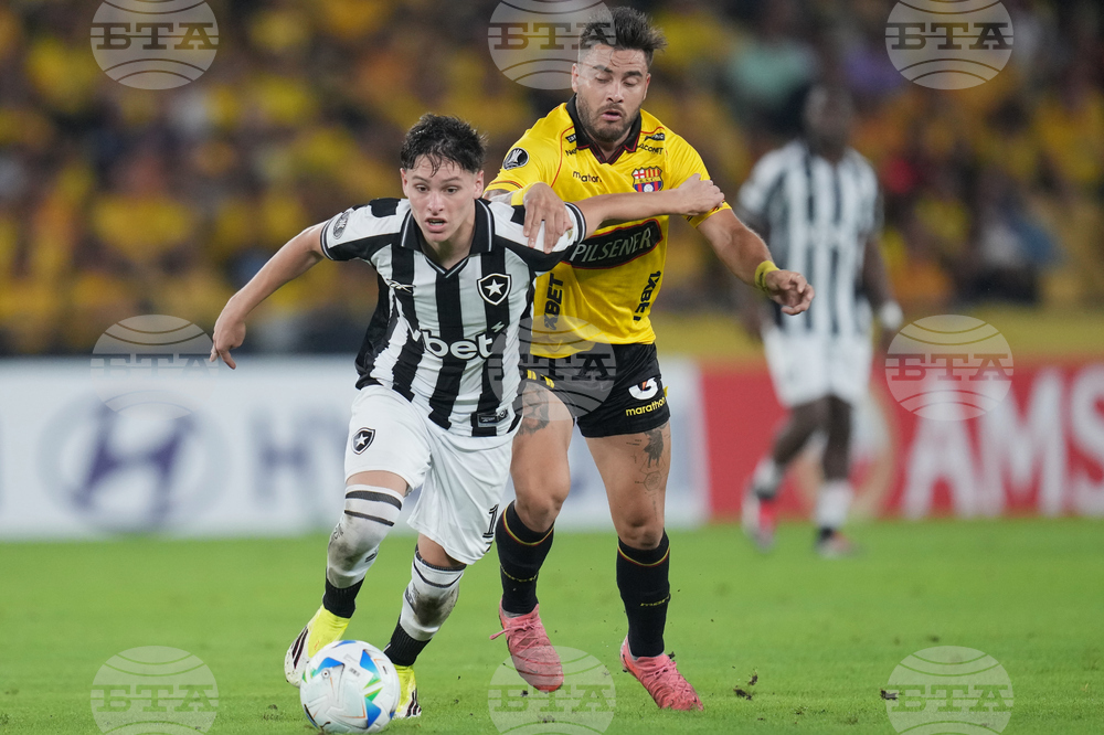 Ecuador Brazil Copa Libertadores Soccer