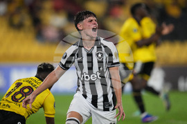 Ecuador Brazil Copa Libertadores Soccer