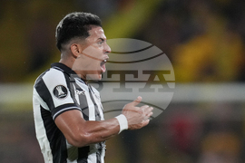 Ecuador Brazil Copa Libertadores Soccer