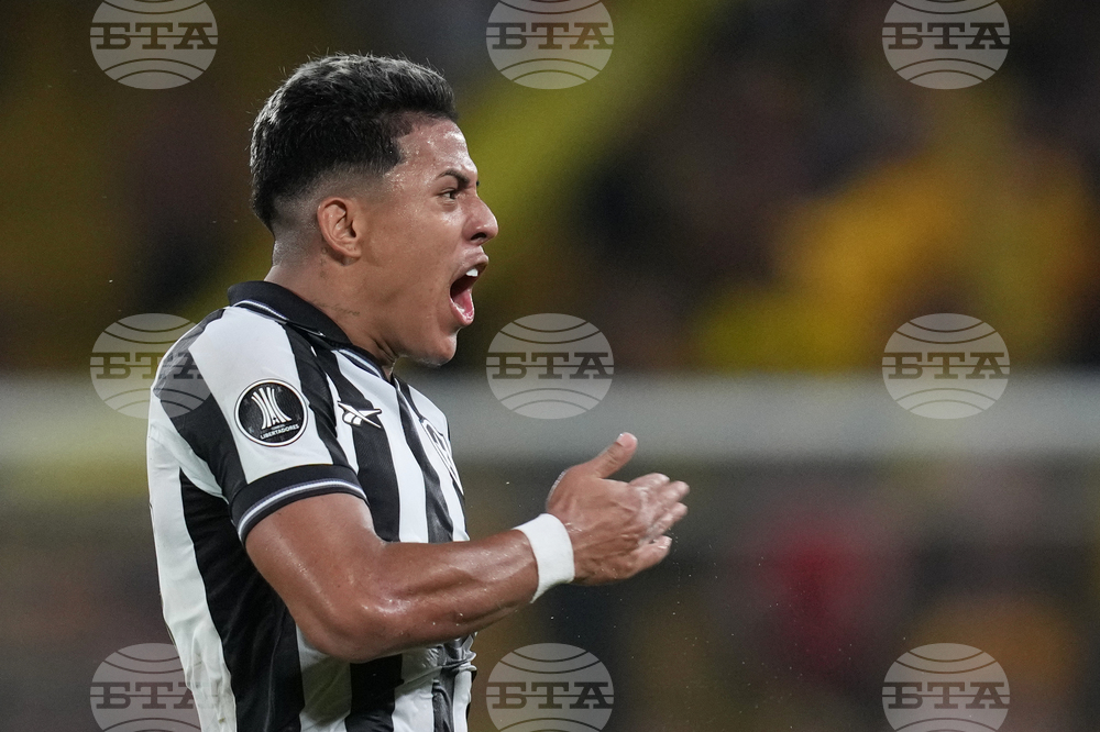 Ecuador Brazil Copa Libertadores Soccer