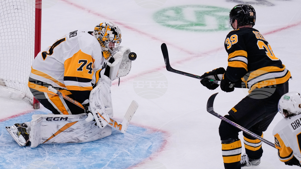 Penguins Bruins Hockey