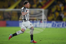 Ecuador Brazil Copa Libertadores Soccer