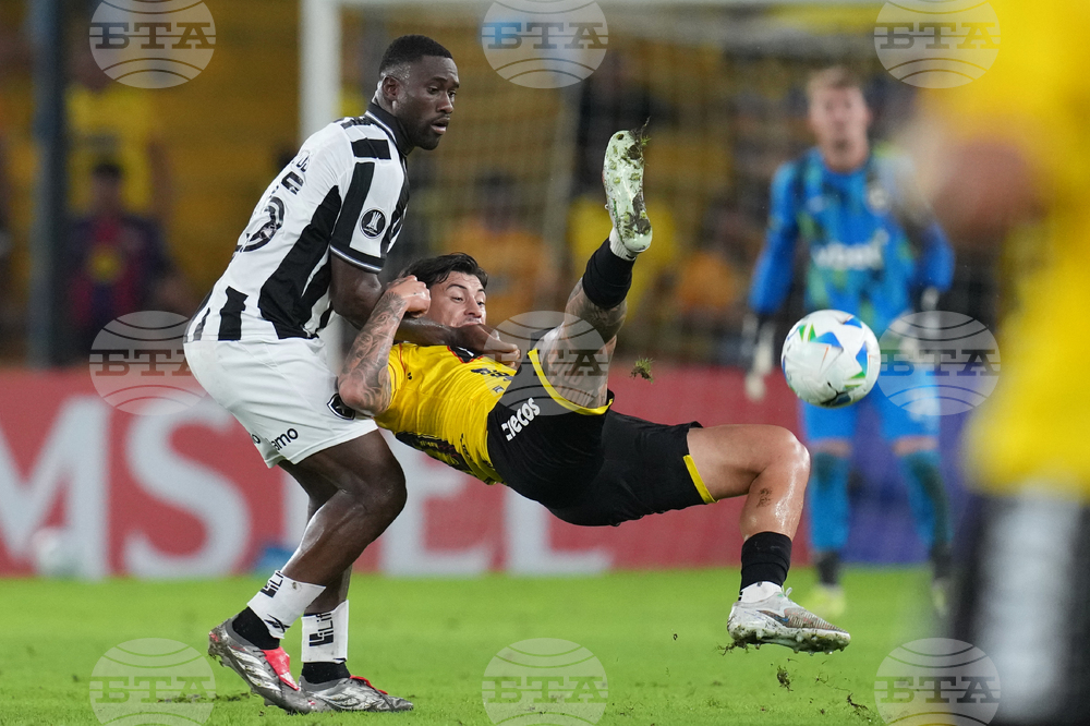 Ecuador Brazil Copa Libertadores Soccer