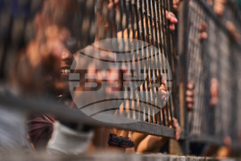 Nepal Election Ex Rapper Photo Gallery