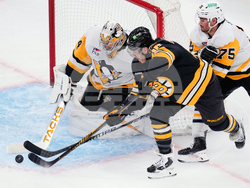 Penguins Bruins Hockey