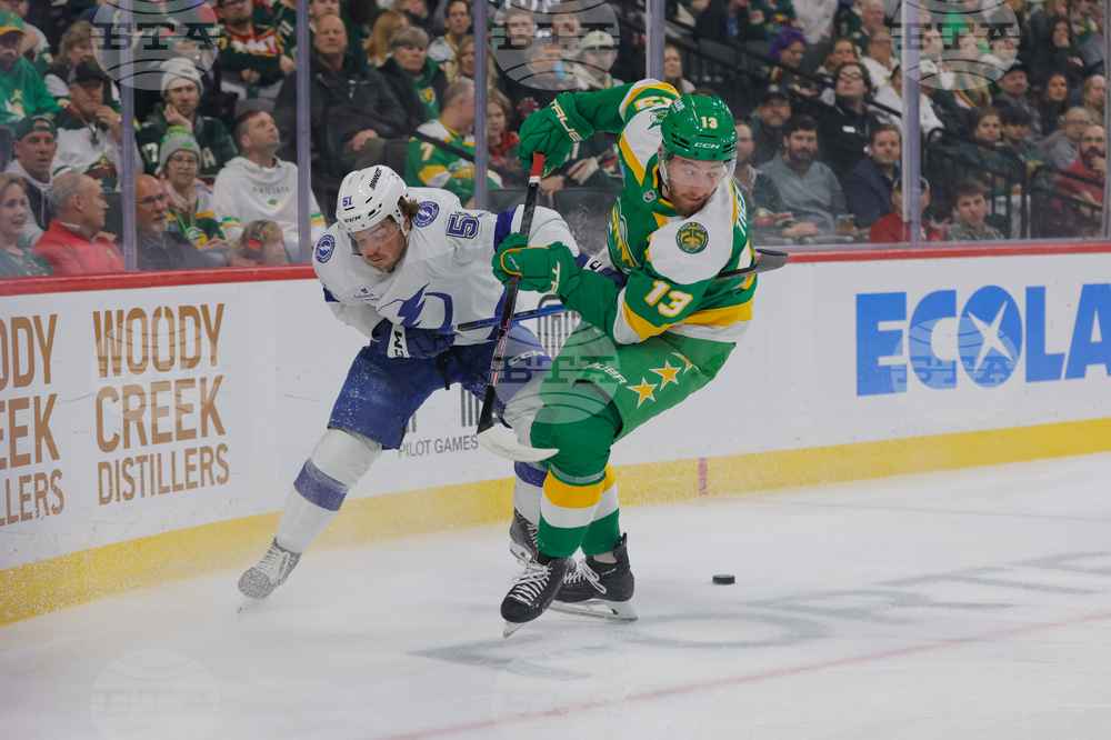 Lightning Wild Hockey