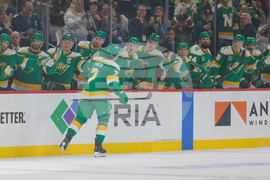 Lightning Wild Hockey