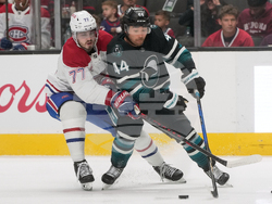 Canadiens Sharks Hockey