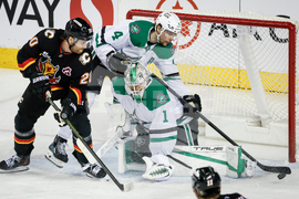 Stars Flames Hockey