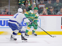 Lightning Wild Hockey