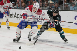 Canadiens Sharks Hockey