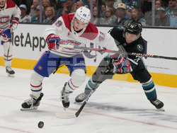 Canadiens Sharks Hockey