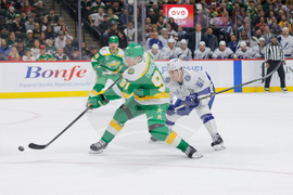 Lightning Wild Hockey