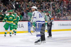 Lightning Wild Hockey