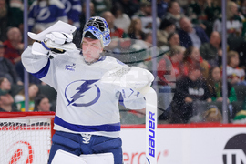 Lightning Wild Hockey