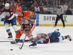 Avalanche Ducks Hockey