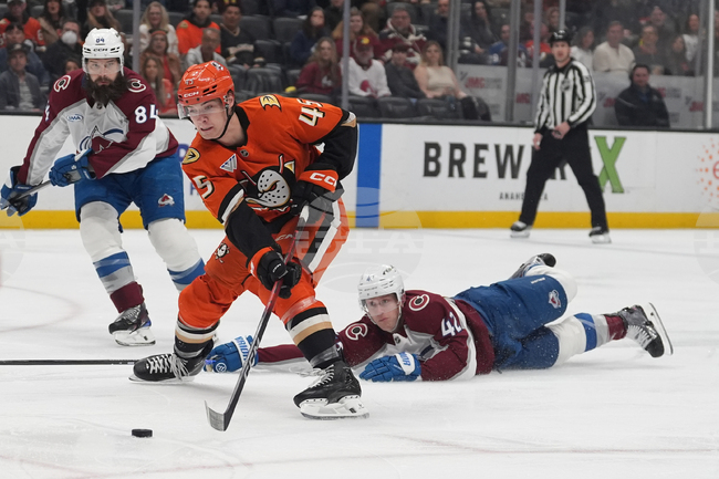 Avalanche Ducks Hockey