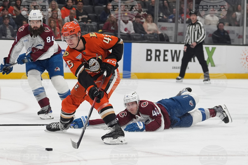 Avalanche Ducks Hockey